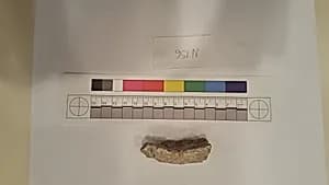 Stucco Fragment by Unknown Artist
