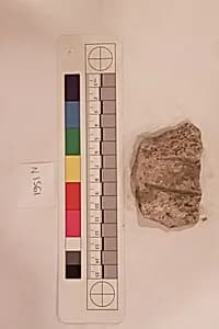 Stucco Fragment by Unknown Artist