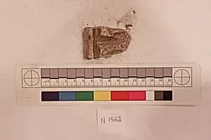 Stucco Fragment by Unknown Artist