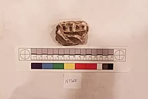 Stucco Fragment by Unknown Artist