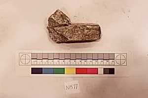 Stucco Fragment by Unknown Artist
