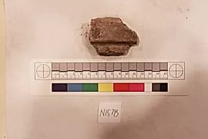 Stucco Fragment by Unknown Artist