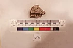 Stucco Fragment by Unknown Artist