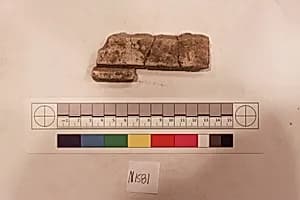 Stucco Fragment by Unknown Artist
