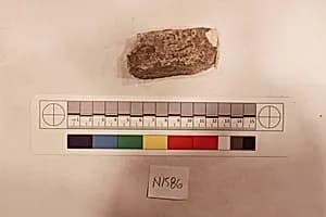 Stucco Fragment by Unknown Artist