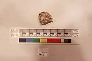 Stucco Fragment by Unknown Artist