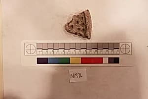 Stucco Fragment by Unknown Artist