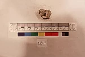 Stucco Fragment by Unknown Artist