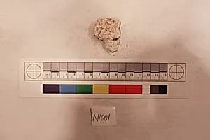 Stucco Fragment by Unknown Artist