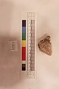 Stucco Fragment by Unknown Artist