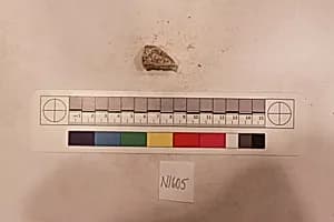 Stucco Fragment by Unknown Artist