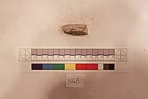 Stucco Fragment by Unknown Artist