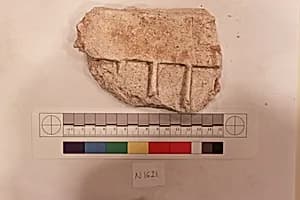 Stucco Fragment by Unknown Artist