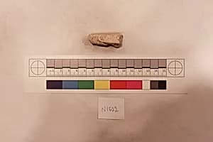 Stucco Fragment by Unknown Artist