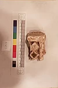 Stucco Fragment by Unknown Artist