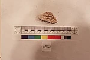 Stucco Fragment by Unknown Artist