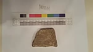 Stucco Fragment by Unknown Artist