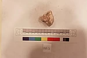 Stucco Fragment by Unknown Artist