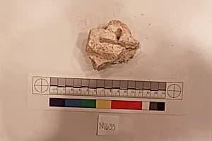 Stucco Fragment by Unknown Artist