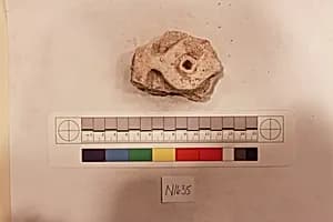 Stucco Fragment by Unknown Artist