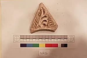 Stucco Fragment by Unknown Artist