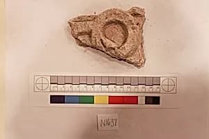 Stucco Fragment by Unknown Artist