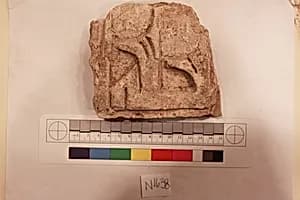 Stucco Fragment by Unknown Artist