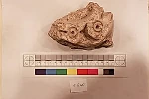 Stucco Fragment by Unknown Artist