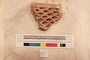 Stucco Fragment by Unknown Artist