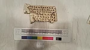 Stucco Fragment by Unknown Artist