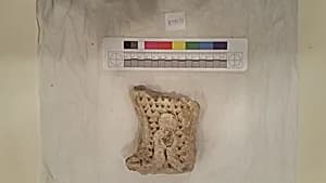 Stucco Fragment by Unknown Artist