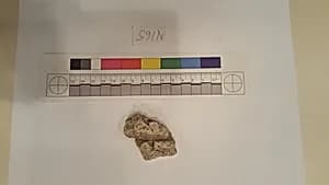 Stucco Fragment by Unknown Artist