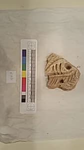 Stucco Fragment by Unknown Artist