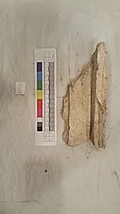 Stucco Fragment by Unknown Artist