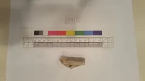Stucco Fragment by Unknown Artist