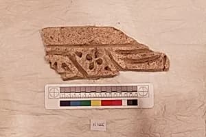 Stucco Fragment by Unknown Artist
