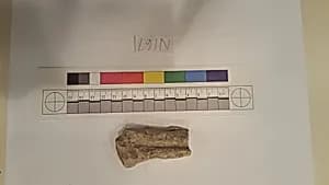 Stucco Fragment by Unknown Artist