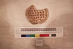 Stucco Fragment by Unknown Artist