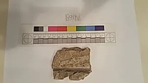 Stucco Fragment by Unknown Artist