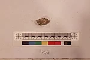 Stucco Fragment by Unknown Artist