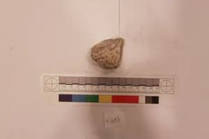 Stucco Fragment by Unknown Artist
