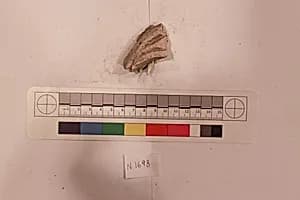 Stucco Fragment by Unknown Artist