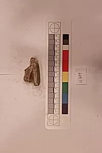 Stucco Fragment by Unknown Artist