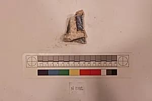 Stucco Fragment by Unknown Artist