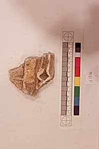 Stucco Fragment by Unknown Artist