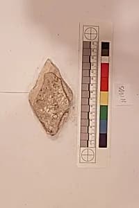 Stucco Fragment by Unknown Artist