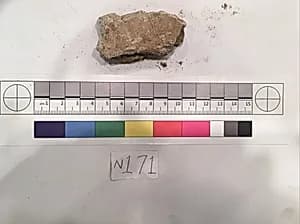 Stucco Fragment by Unknown Artist
