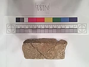 Stucco Fragment by Unknown Artist