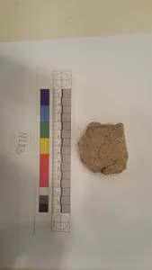 Stucco Fragment by Unknown Artist