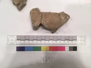Stucco Fragment by Unknown Artist